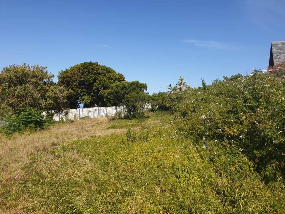 798 m² Land available in Plettenberg Bay photo number 8