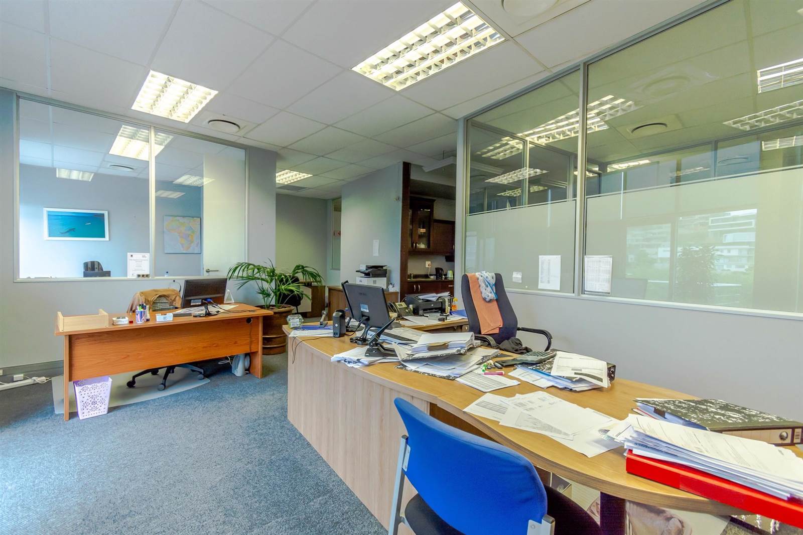 450  m² Office Space in La Lucia photo number 17