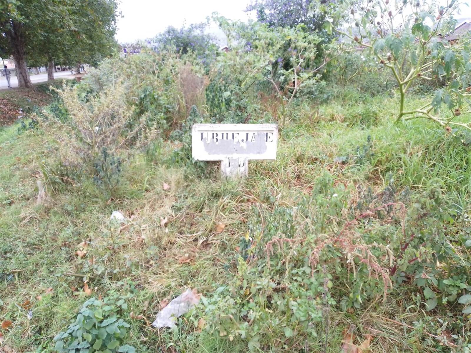 501 m² Land available in Mpophomeni photo number 1
