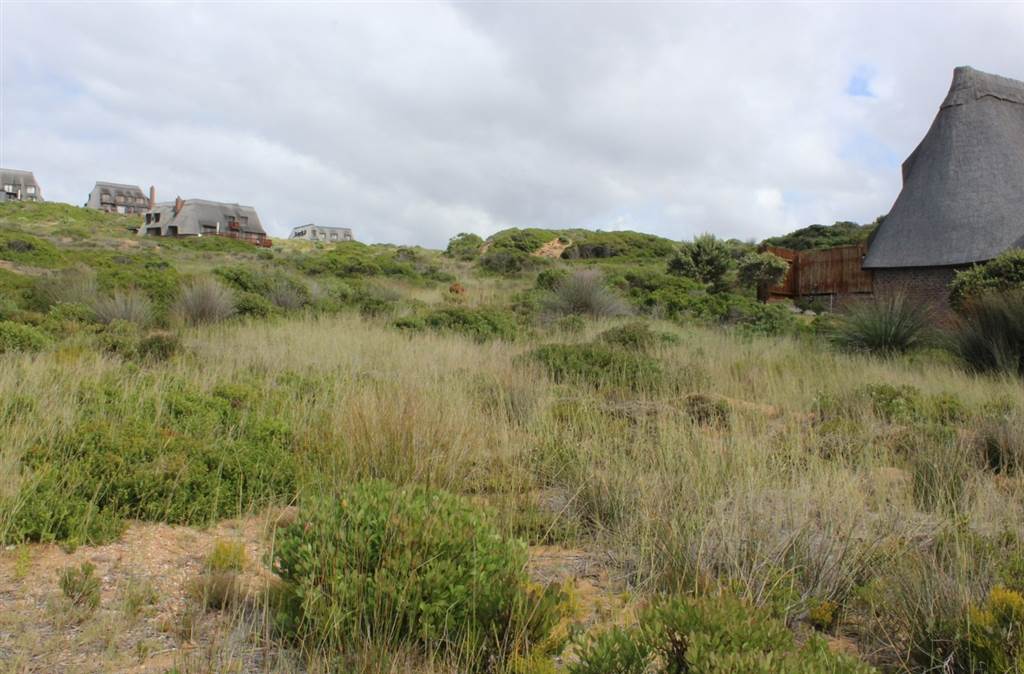 805 m² Land available in Stilbaai photo number 25