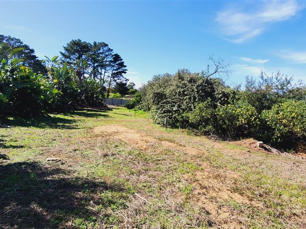 1979 m² Land available in Piesang Valley