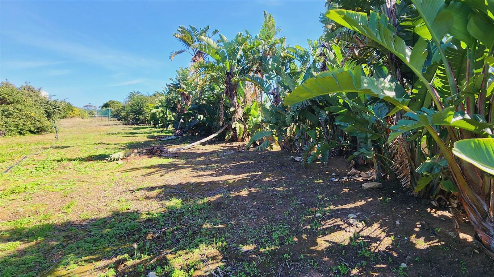 1979 m² Land available in Piesang Valley photo number 4