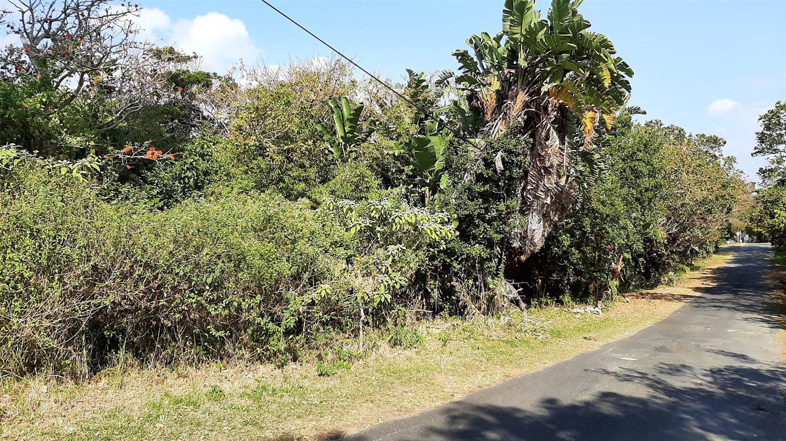 3372 m² Land available in Pennington photo number 8
