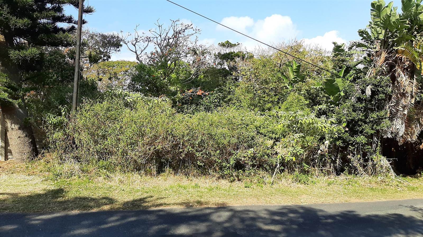 3372 m² Land available in Pennington photo number 7
