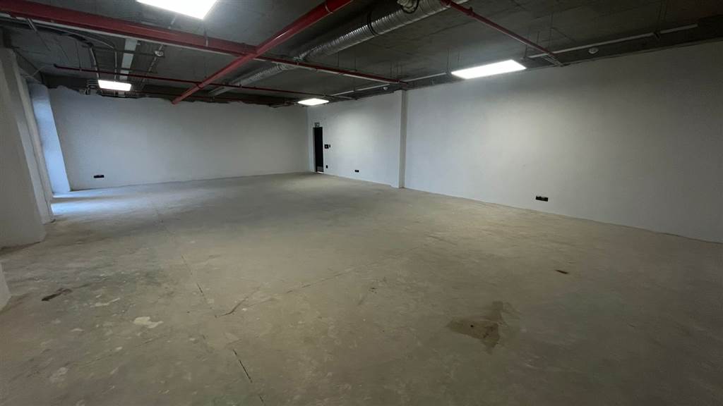 5210  m² Industrial space in Louwlardia photo number 9