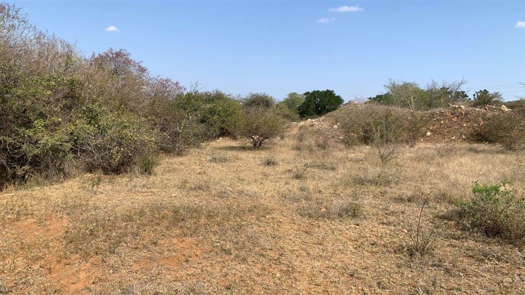 2956 m² Land available in Hoedspruit photo number 6