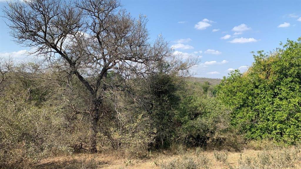 2956 m² Land available in Hoedspruit photo number 18