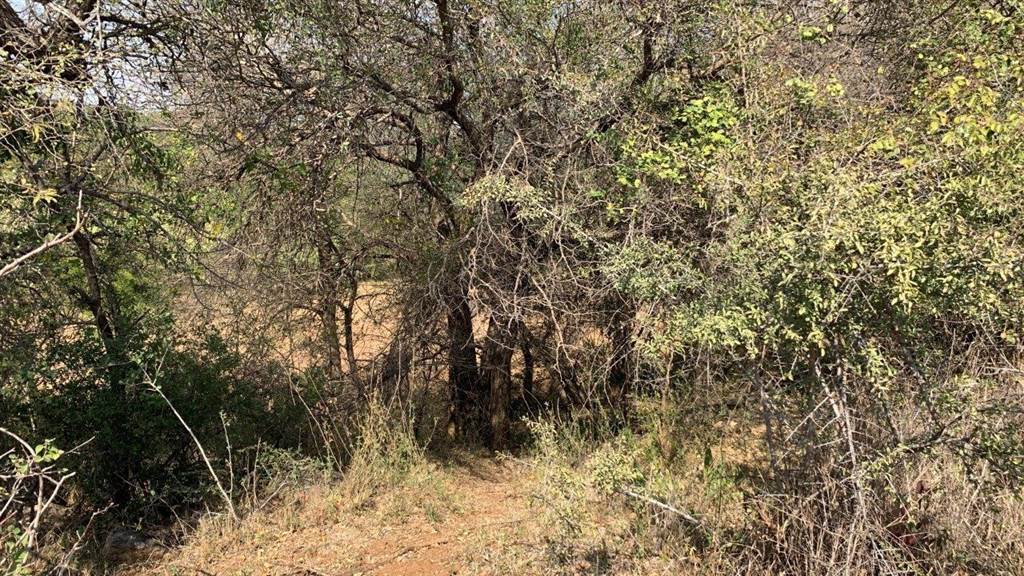 2956 m² Land available in Hoedspruit photo number 9