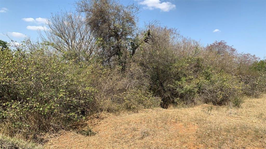 2956 m² Land available in Hoedspruit photo number 10