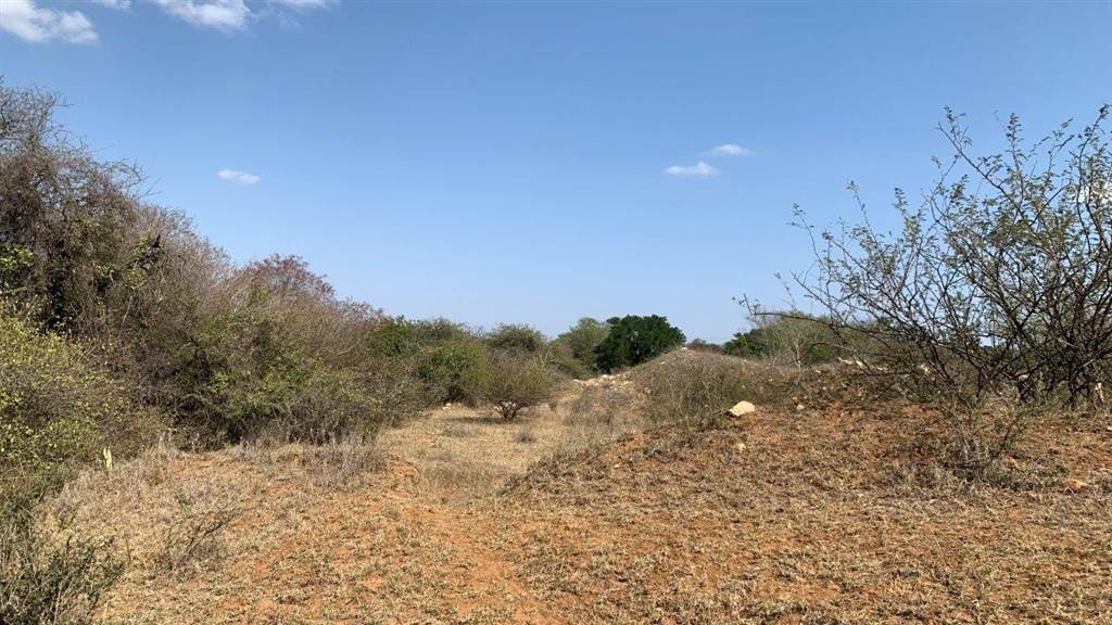 2956 m² Land available in Hoedspruit photo number 4