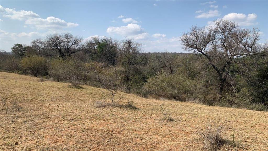 2956 m² Land available in Hoedspruit photo number 7