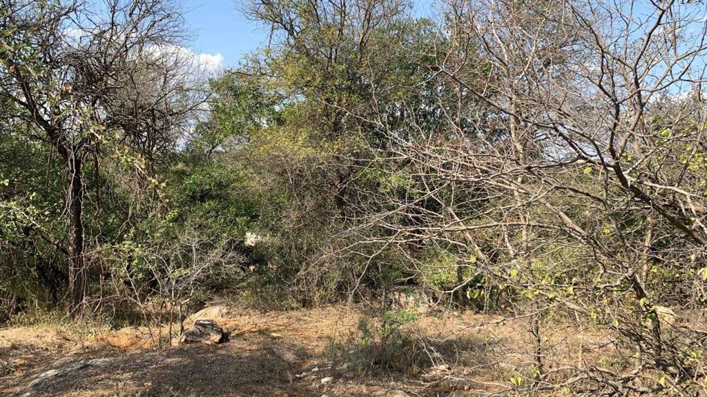 2956 m² Land available in Hoedspruit photo number 11