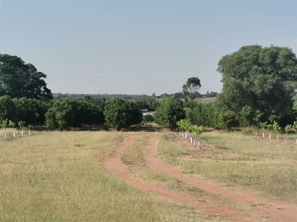 9.4 ha Farm in Bultfontein AH photo number 26
