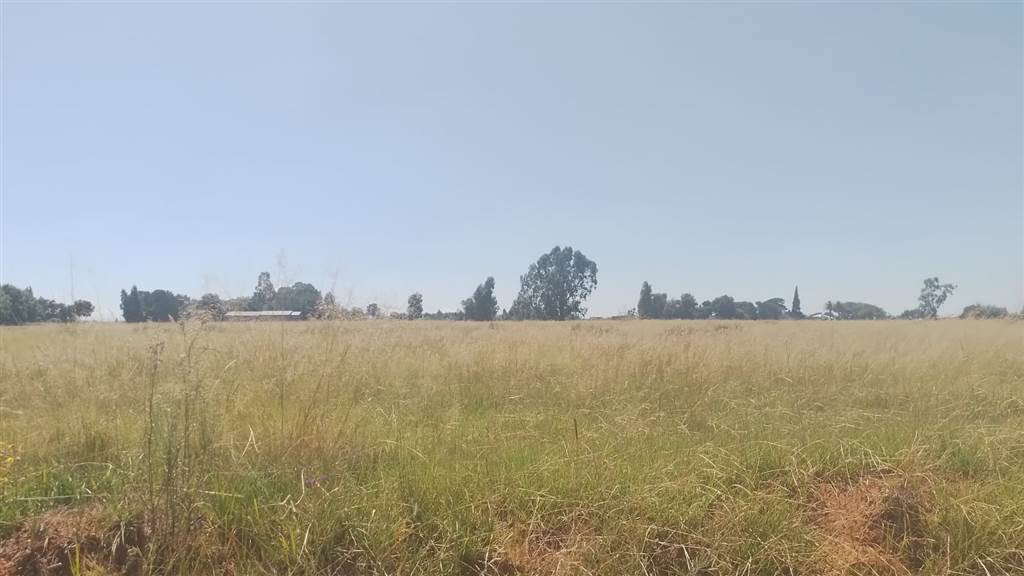 2 ha Land available in Vleikop AH photo number 2