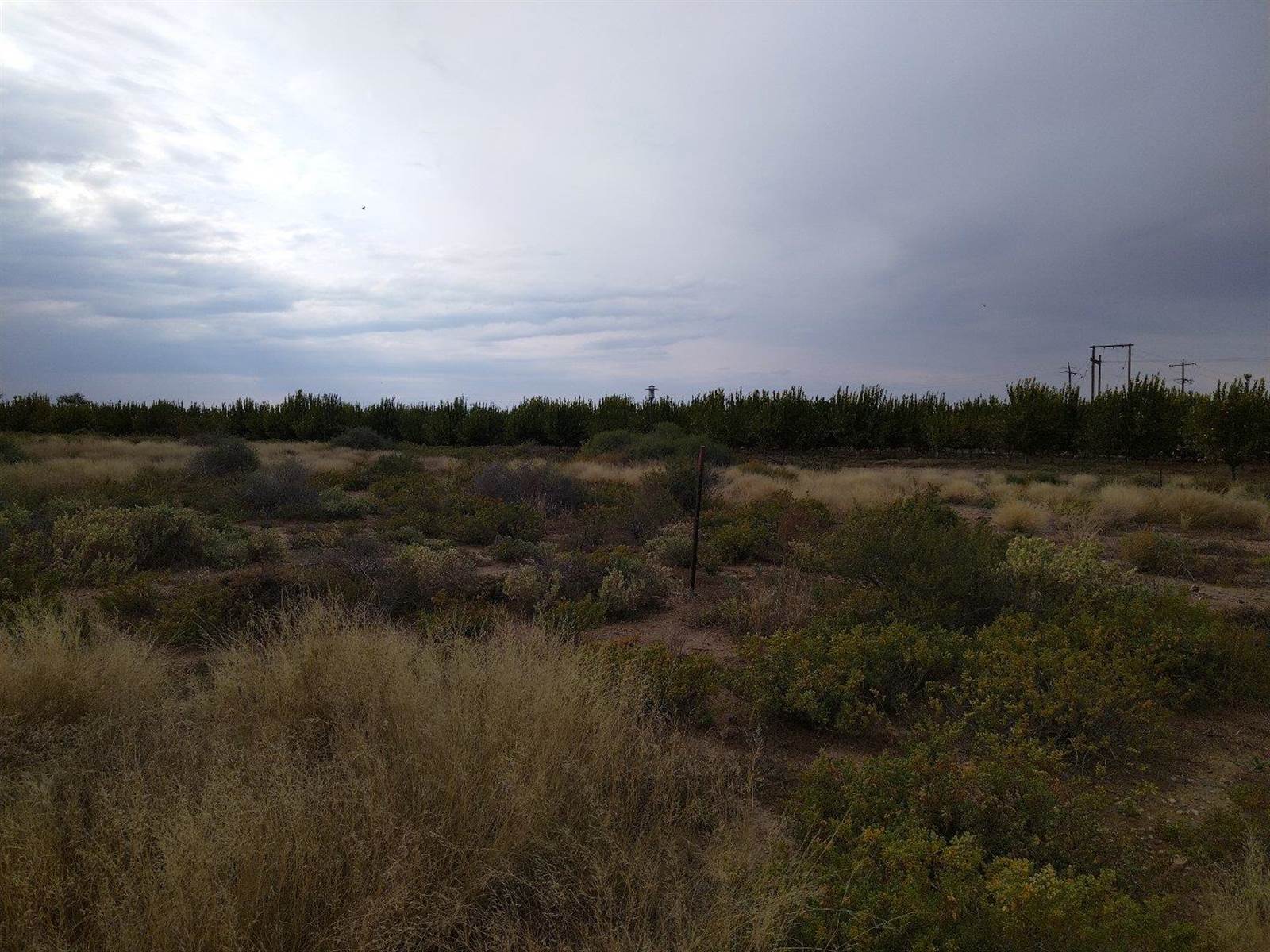 875 m² Land available in Upington photo number 5