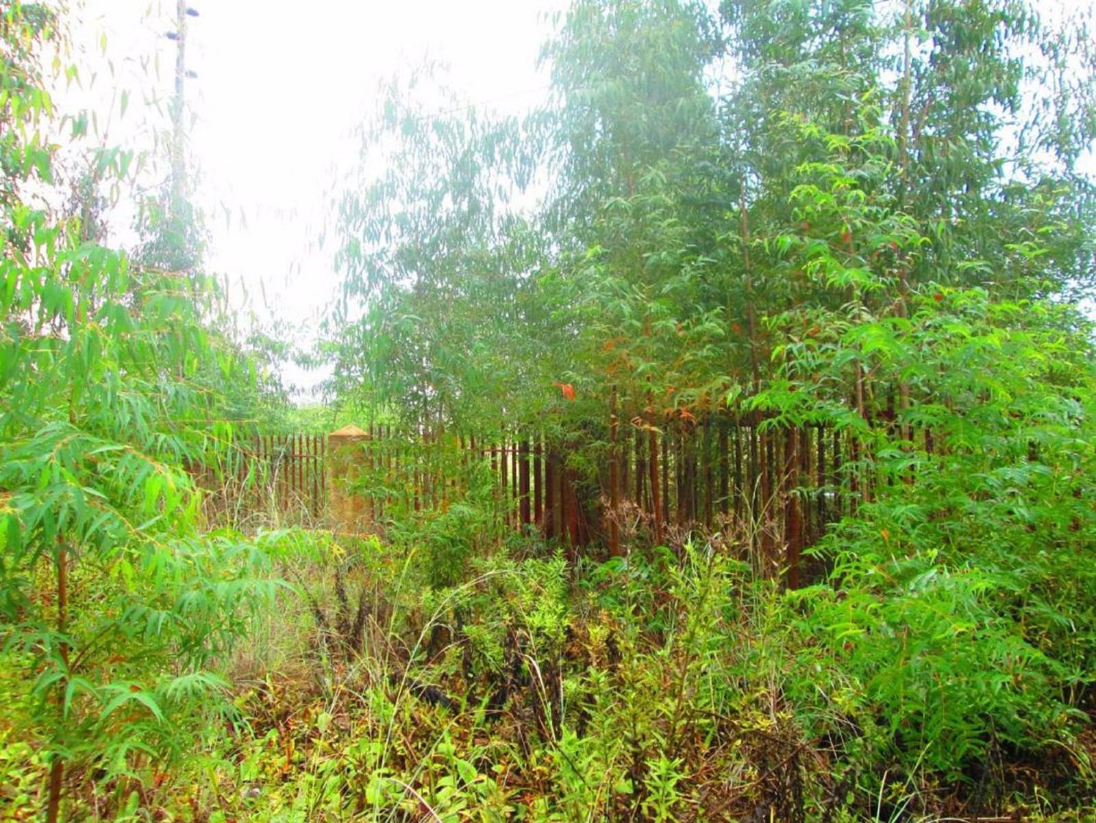 786 m² Land available in Dullstroom photo number 1