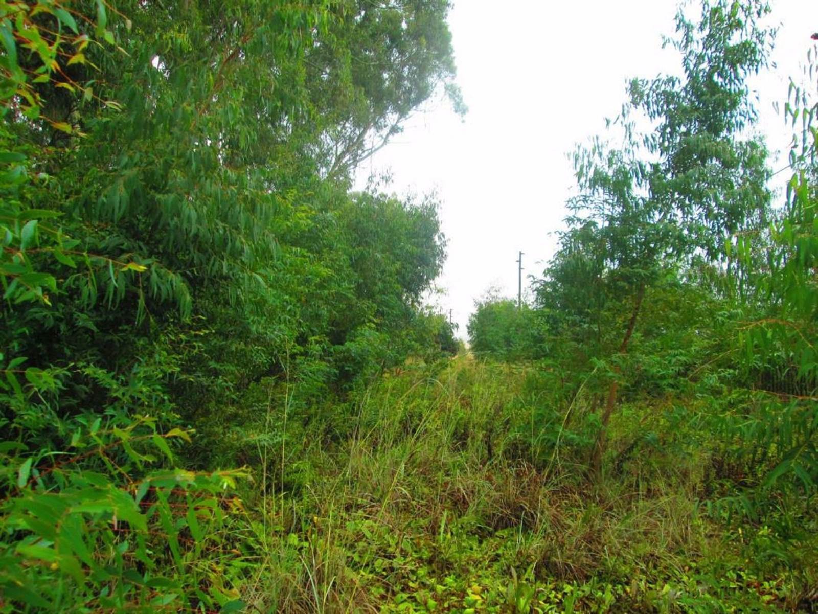 786 m² Land available in Dullstroom photo number 4