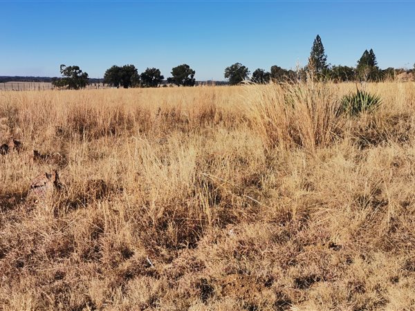 2.1 ha Land 2.1 ha Land