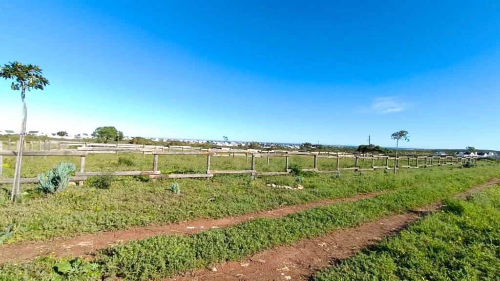 2.8 ha Land available in Jacobsbaai photo number 12