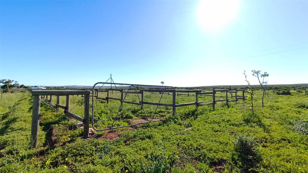 2.8 ha Land available in Jacobsbaai photo number 11