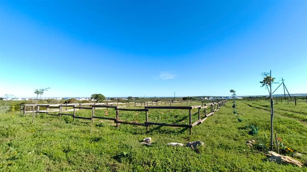 2.8 ha Land available in Jacobsbaai photo number 13