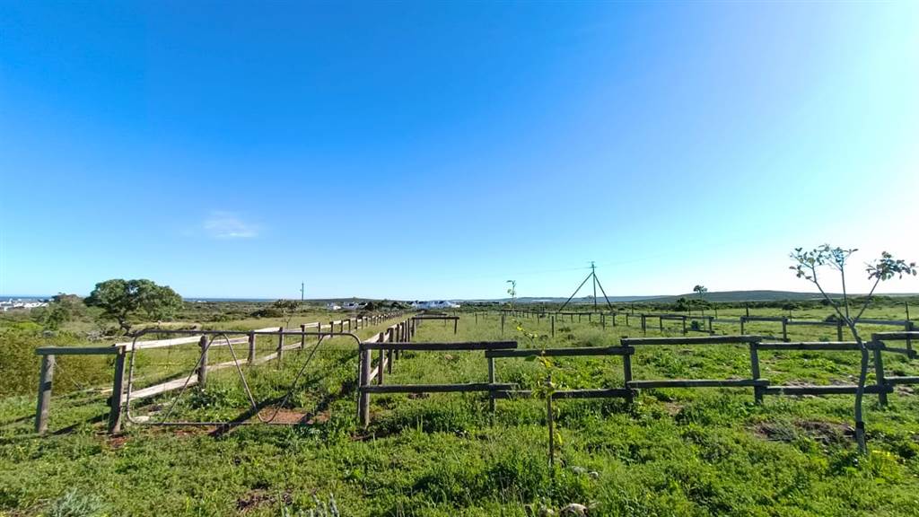 2.8 ha Land available in Jacobsbaai photo number 9
