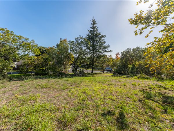 1 077 m² Land