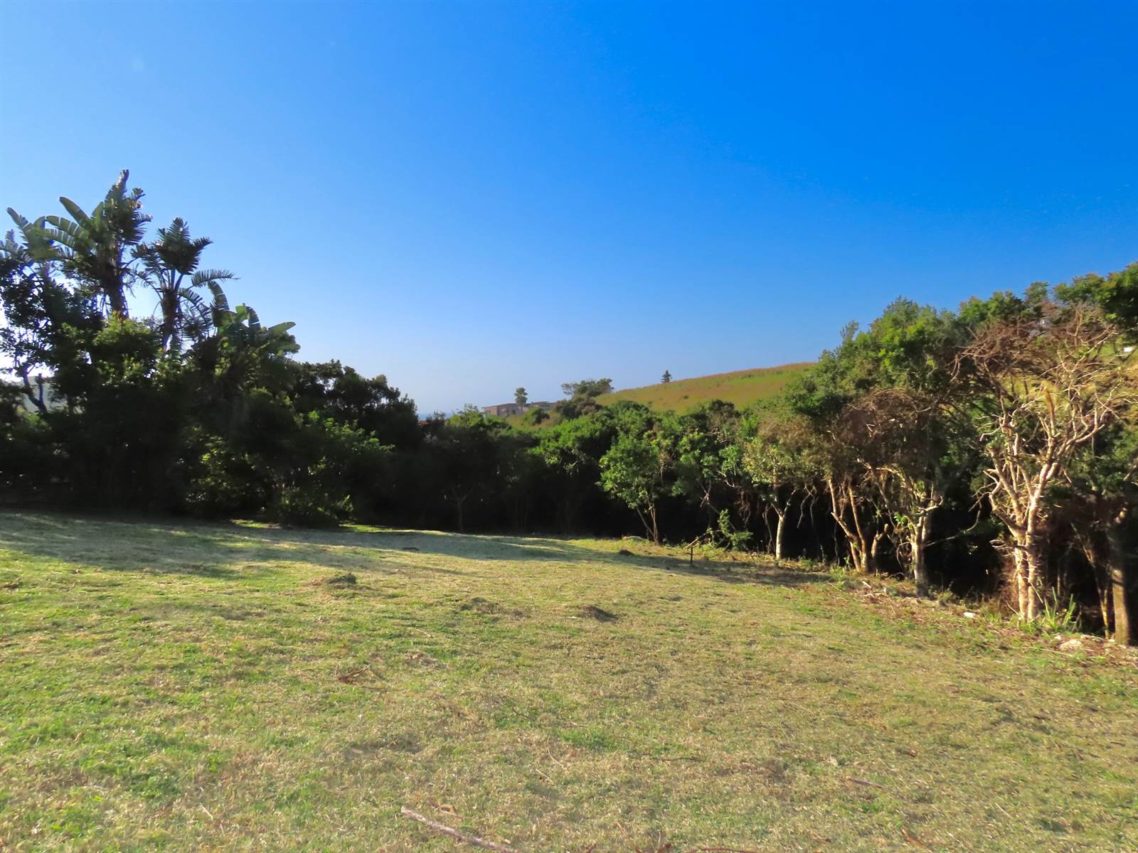 856 m² Land available in Morgans Bay photo number 4