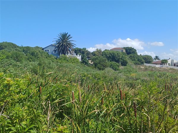 1101 m² Land available in Santareme