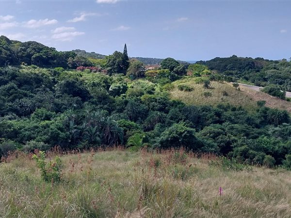 3642 m² Land available in Elysium