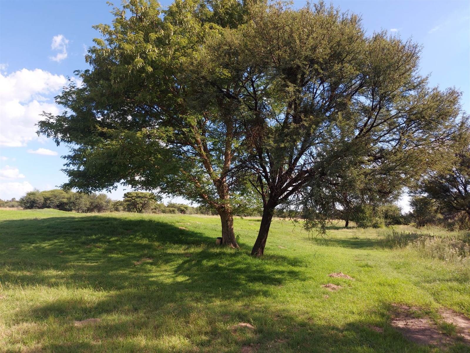 1132 m² Land available in Mafikeng photo number 9