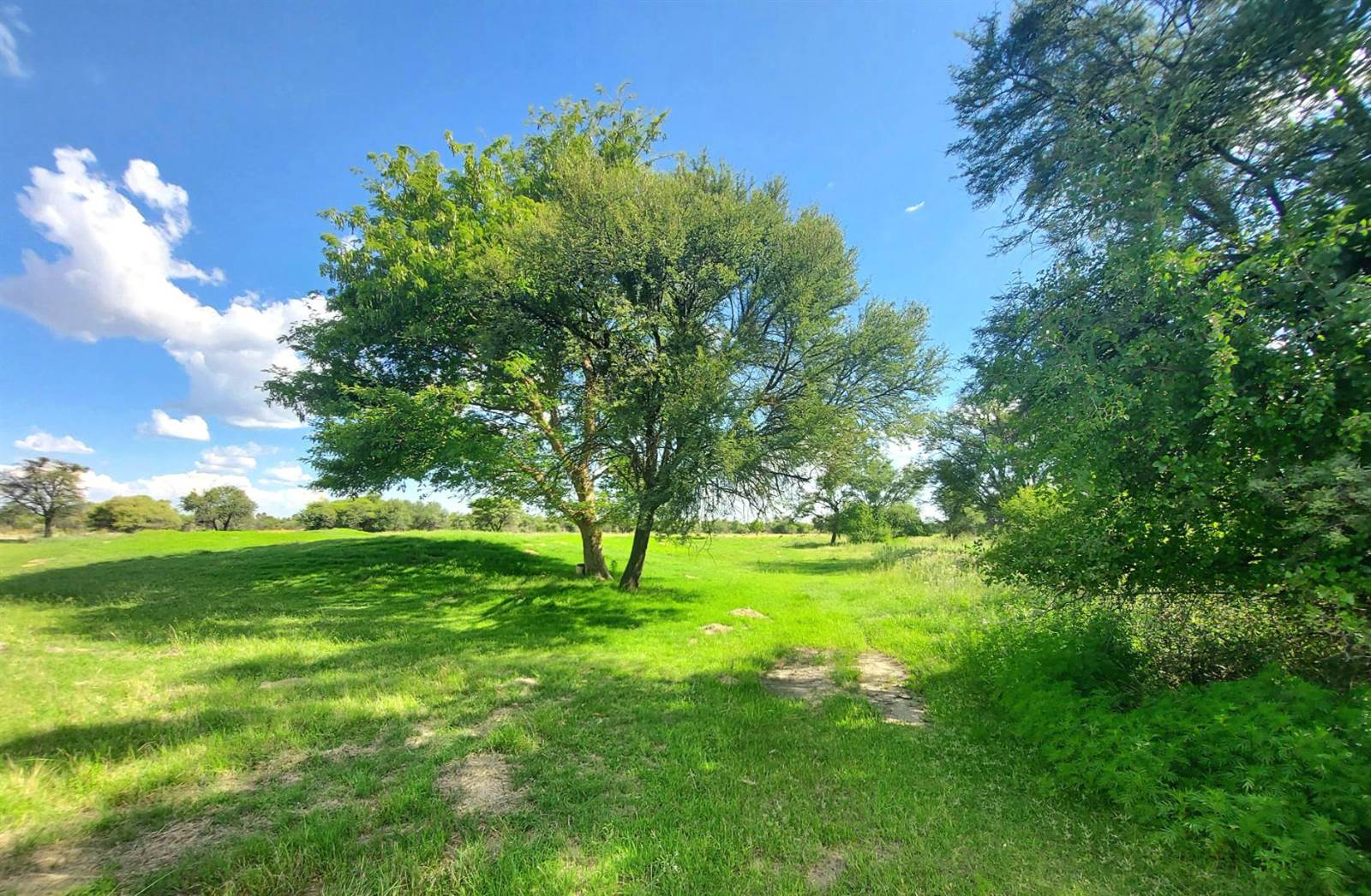 1132 m² Land available in Mafikeng photo number 8