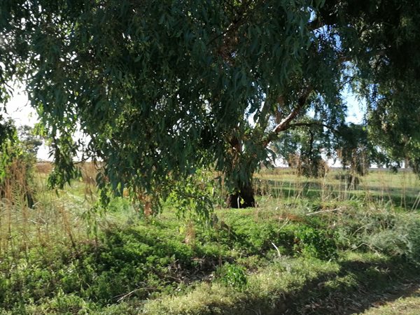 1183 m² Land available in Brandfort