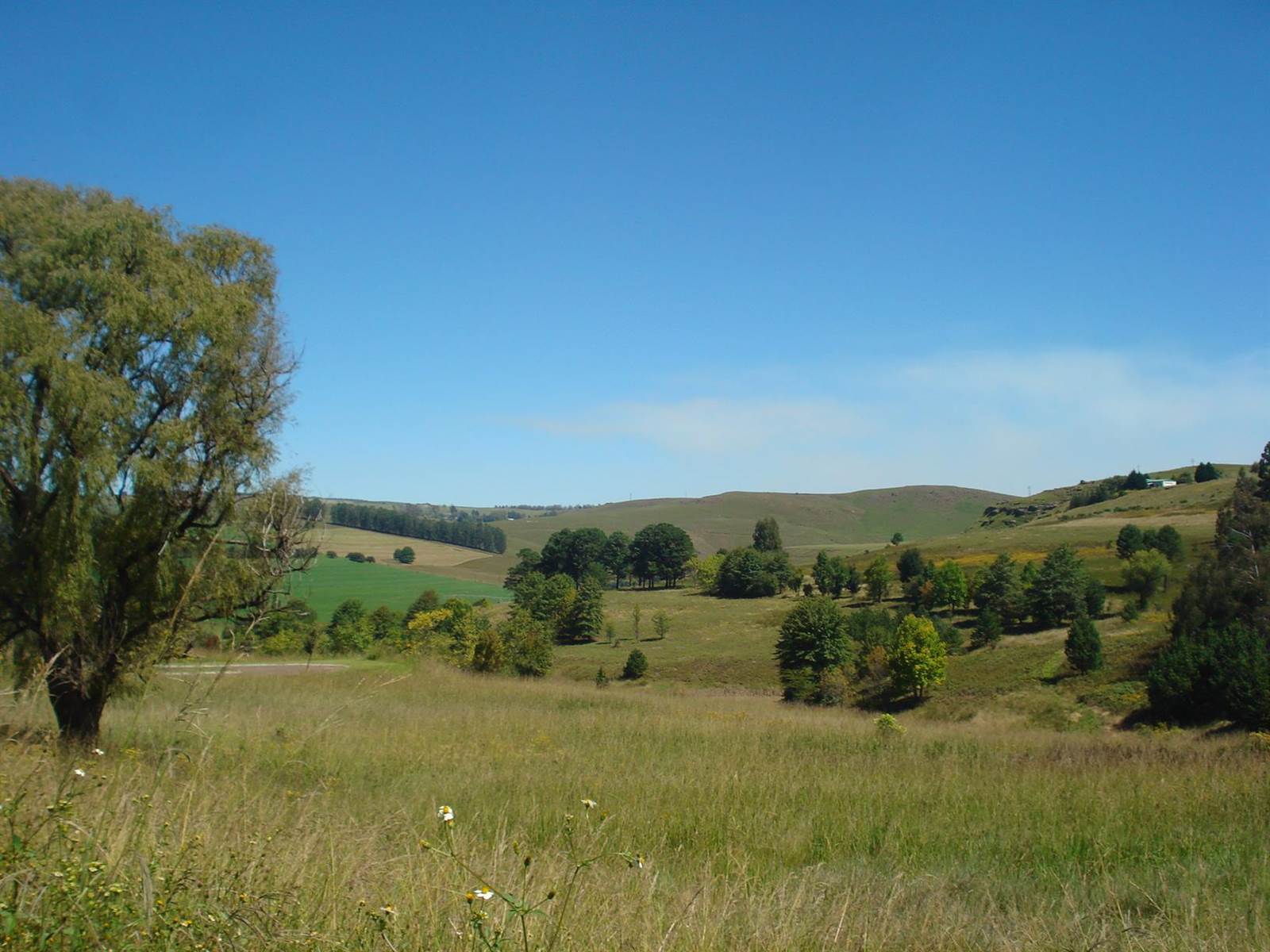 2167 m² Land available in Underberg photo number 3