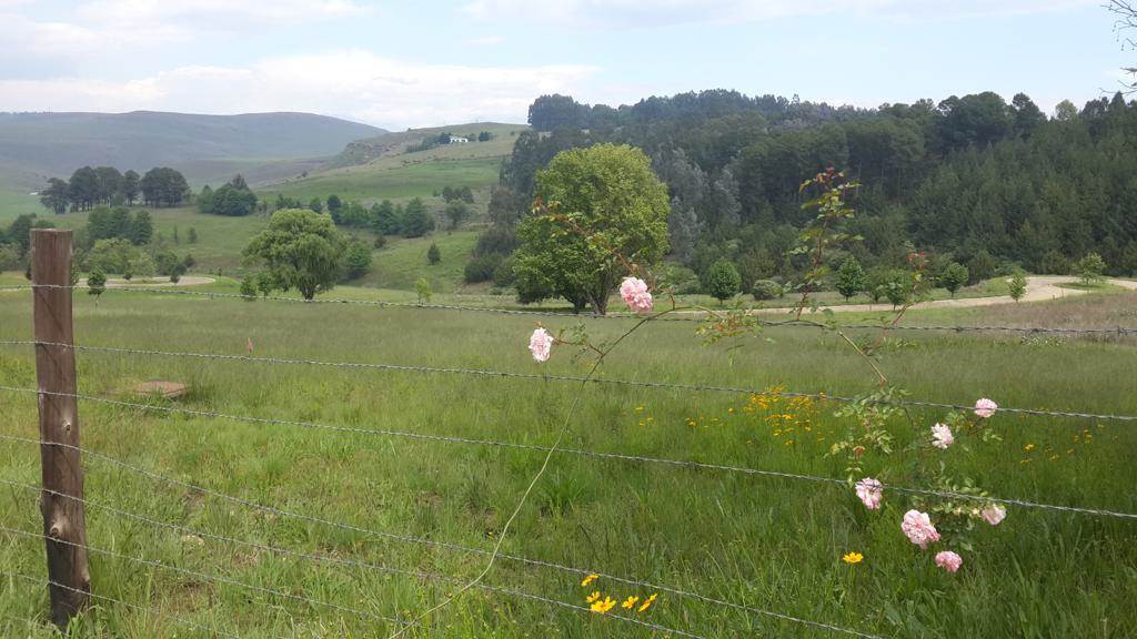 2167 m² Land available in Underberg photo number 1