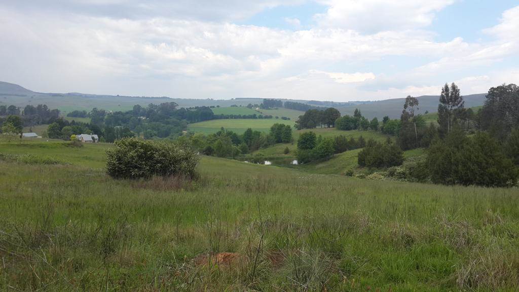 2167 m² Land available in Underberg photo number 11