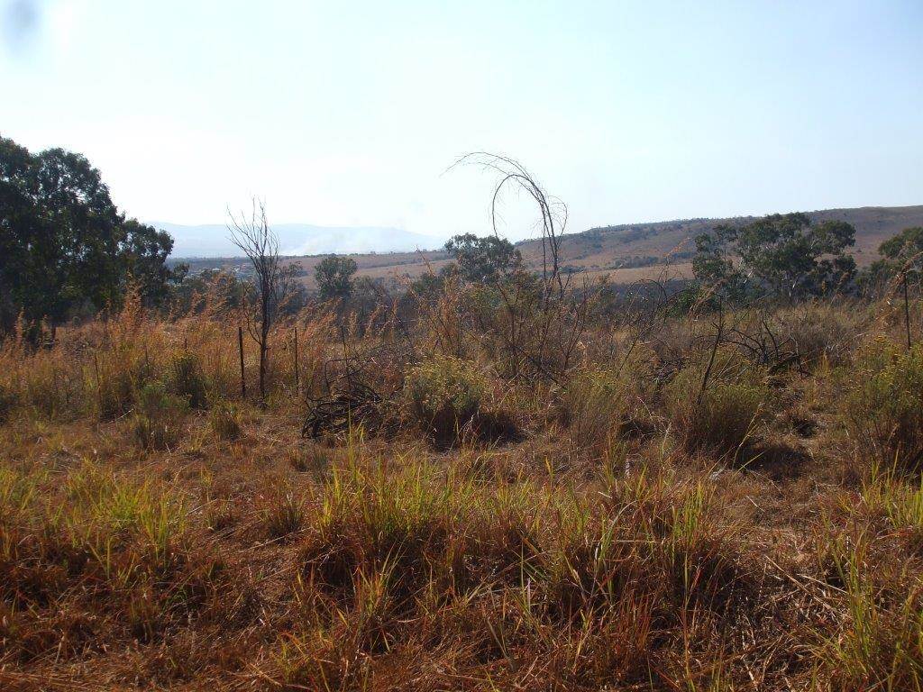 35 ha Land available in Lydenburg photo number 3
