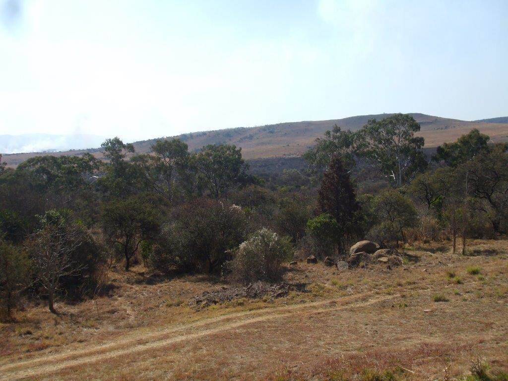 35 ha Land available in Lydenburg photo number 6