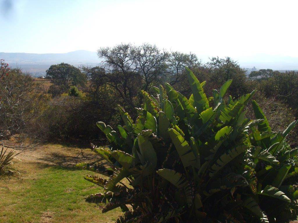 35 ha Land available in Lydenburg photo number 12