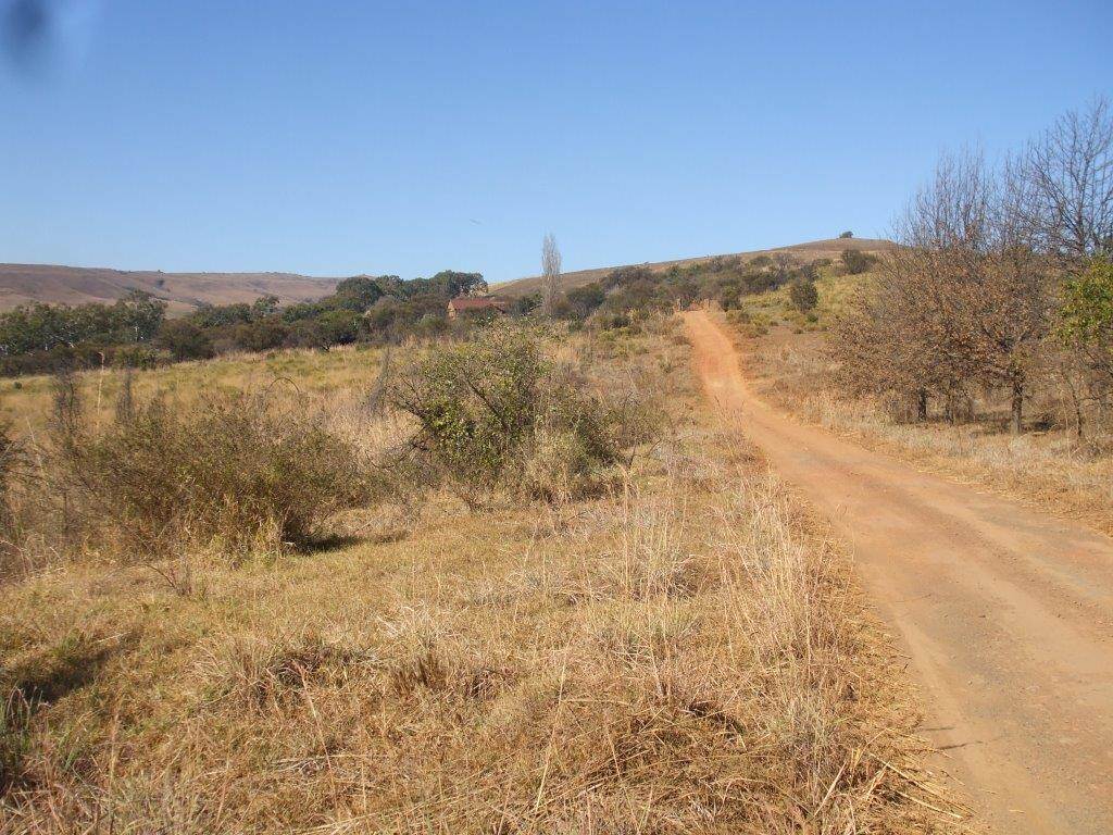 35 ha Land available in Lydenburg photo number 8