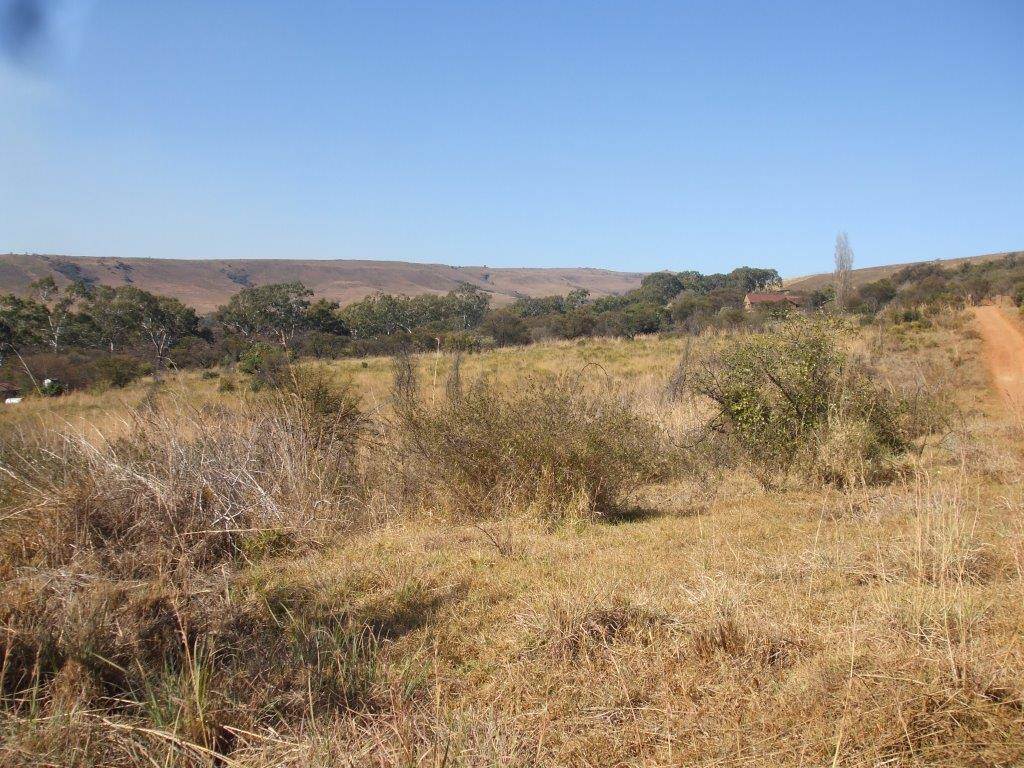 35 ha Land available in Lydenburg photo number 4