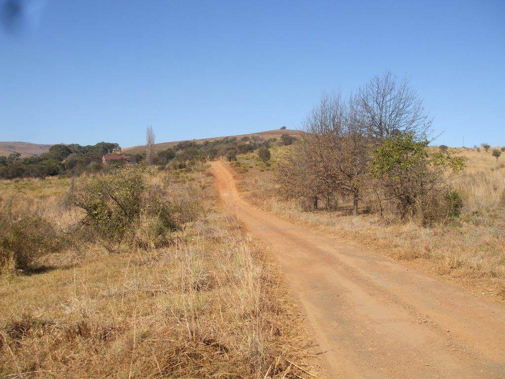 35 ha Land available in Lydenburg photo number 5