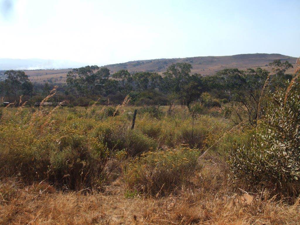 35 ha Land available in Lydenburg photo number 2