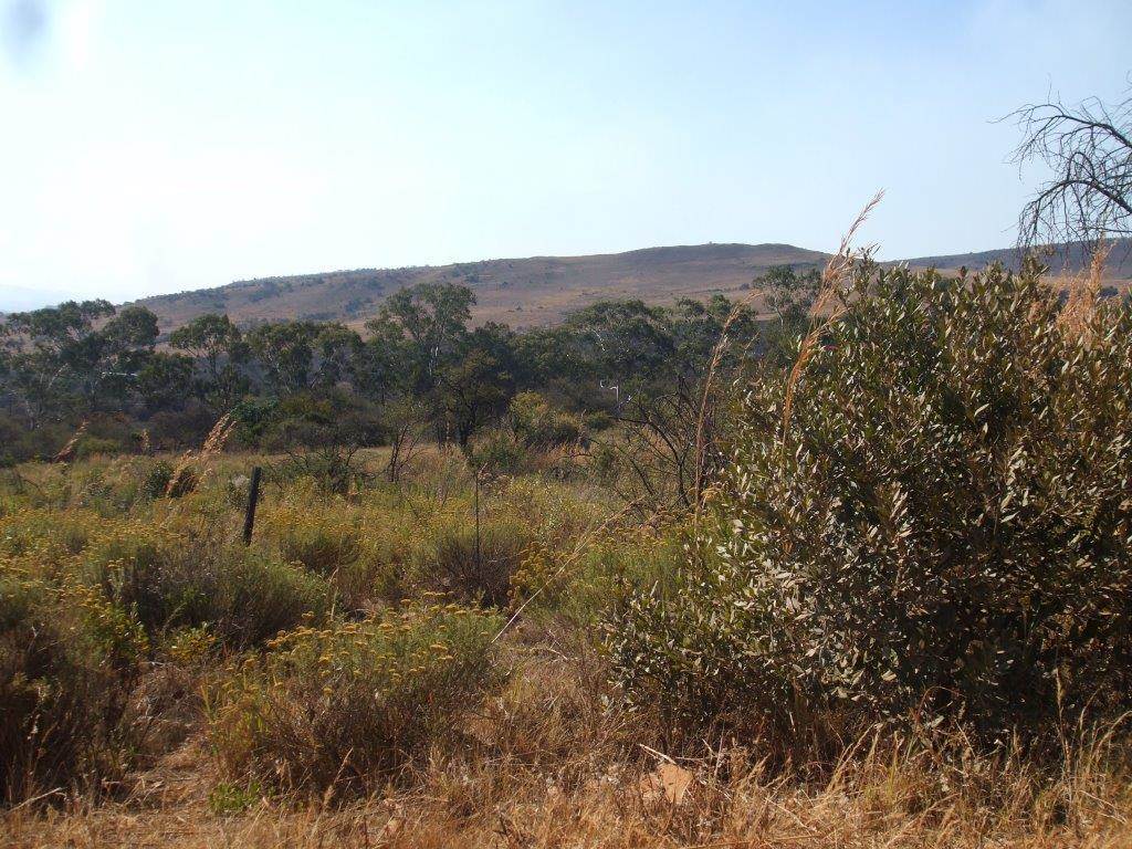 35 ha Land available in Lydenburg photo number 1