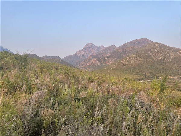 3813 m² Land available in Greyton