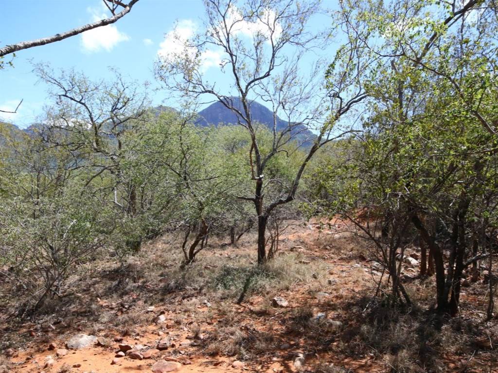9815 m² Land available in Hoedspruit photo number 12