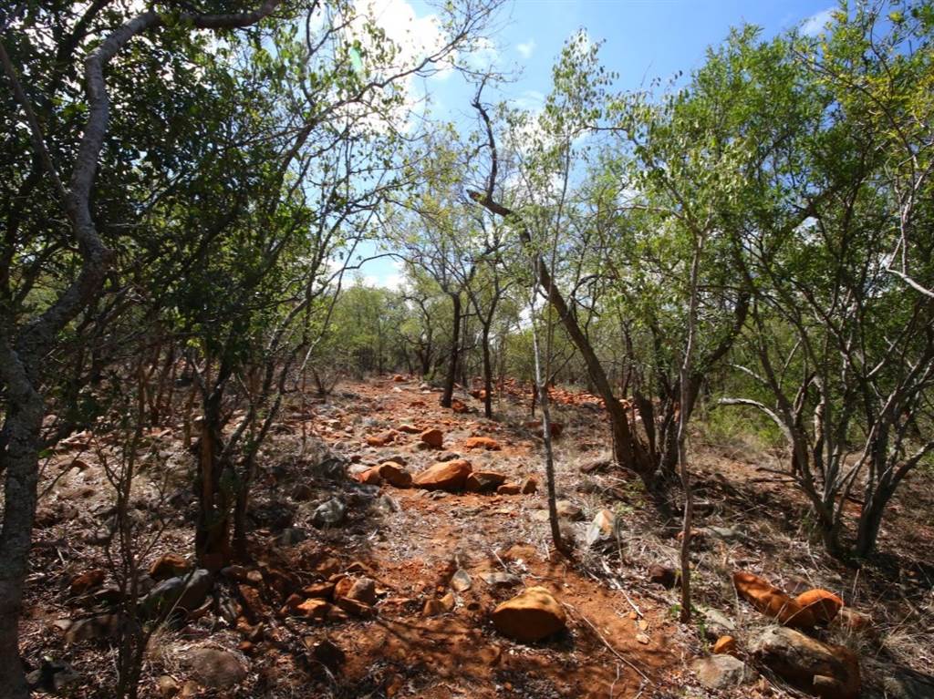 9815 m² Land available in Hoedspruit photo number 13
