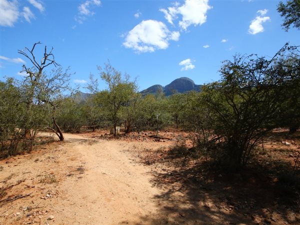 9815 m² Land available in Hoedspruit