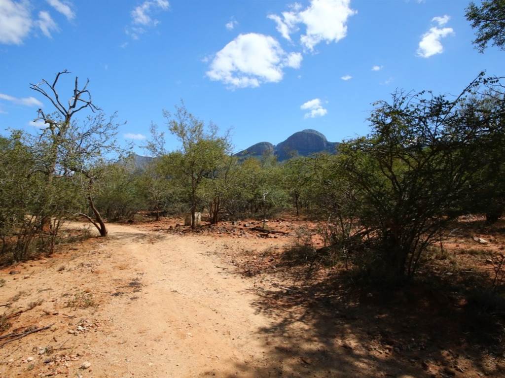 9815 m² Land available in Hoedspruit photo number 1