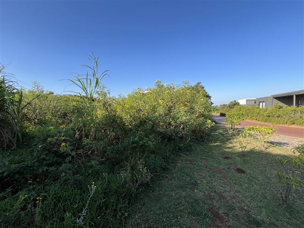 632 m² Land